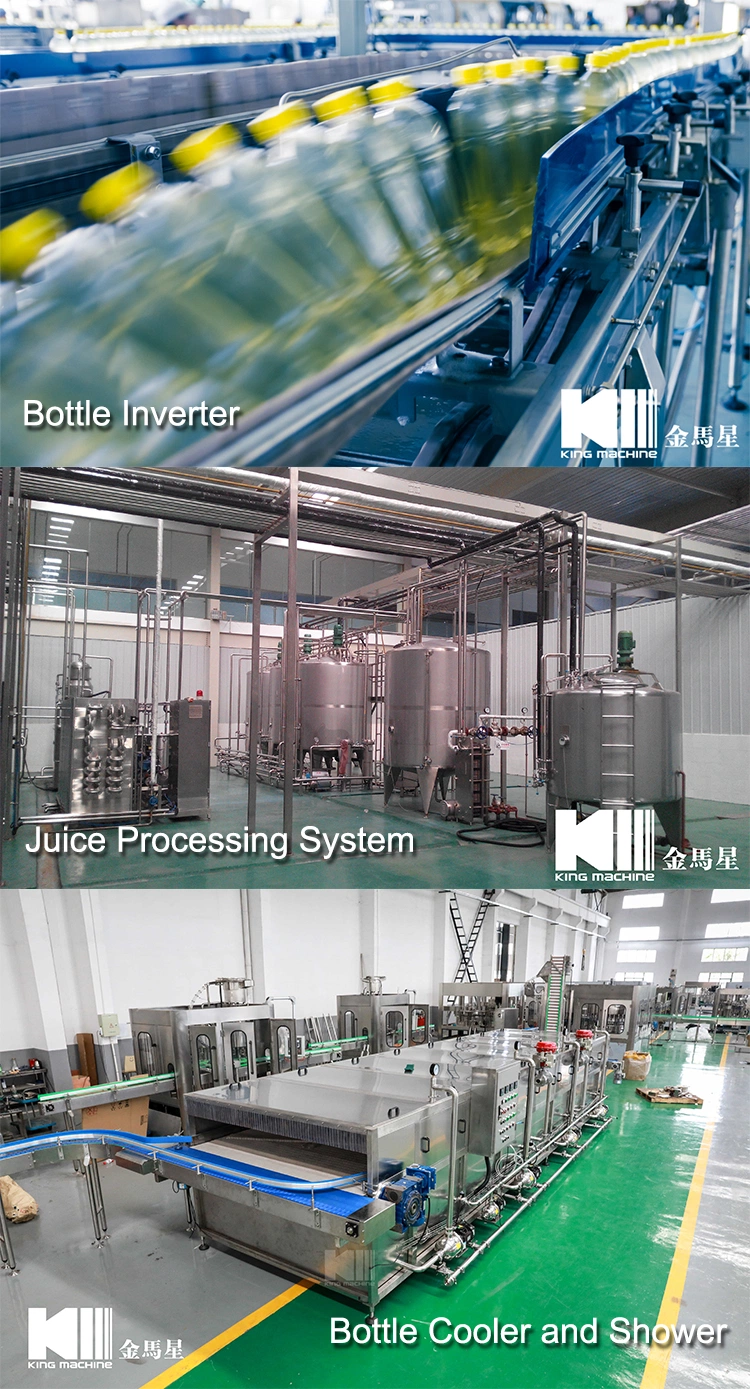 Automatic Bottle Mineral Pure Water Juice Energy CSD Drink Beer Beverage Making Filling Bottling Factory Manufacturing Equipment